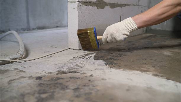 24/7 Emergency Wet Basement Repair experts in Rolling Prairie, IN